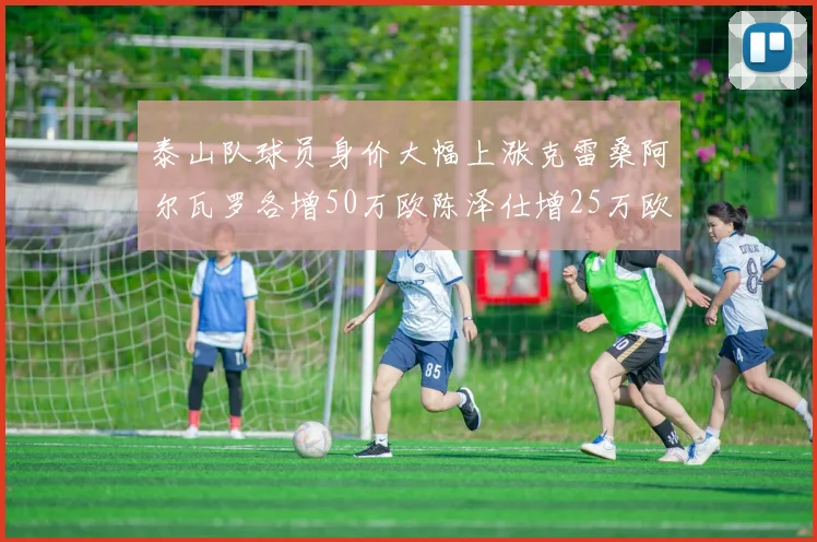 泰山队球员身价大幅上涨克雷桑阿尔瓦罗各增50万欧陈泽仕增25万欧